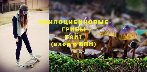 СК Костерёво