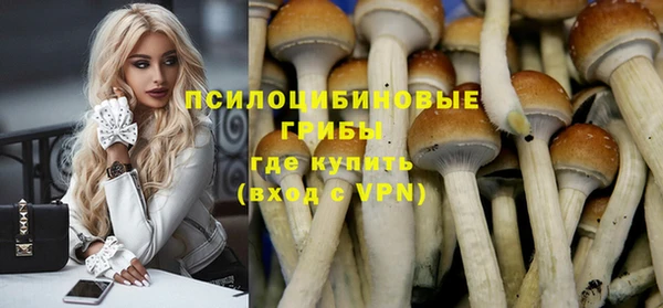 СК Костерёво